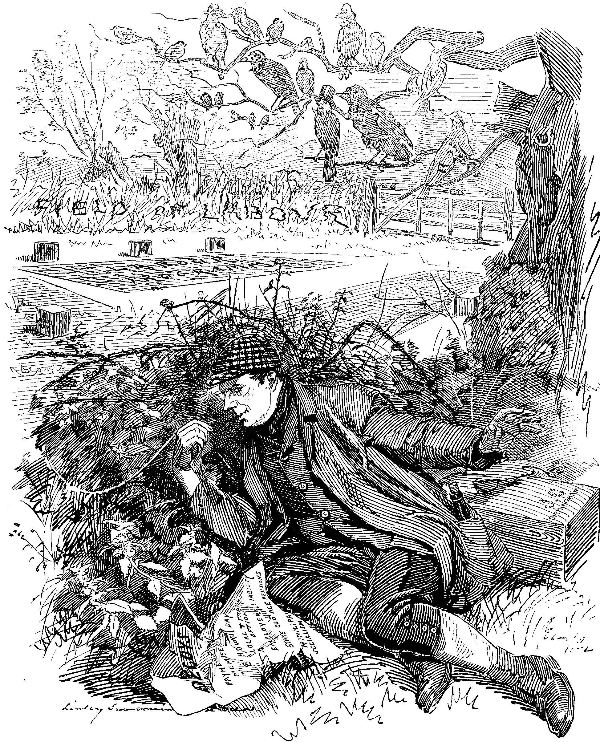 Brummagem Birdcatcher.