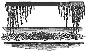 FIG. 222.&mdash;A magnet.