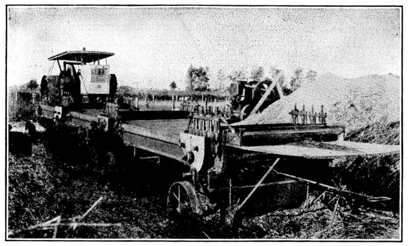 Machine brake and hemp hurds.
Hemp hurds from machine brakes quickly accumulate in
large piles. Machine brake and hemp hurds.
Hemp hurds from machine brakes quickly accumulate in
large piles.