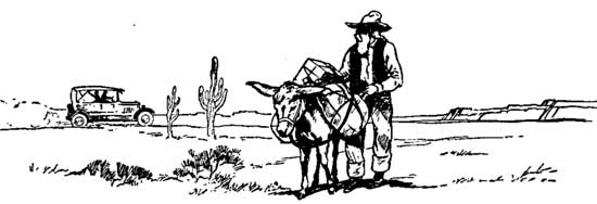 Chapter Header Chapter Header