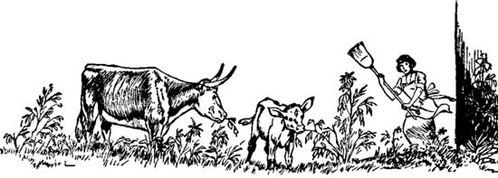 Chapter Header Chapter Header