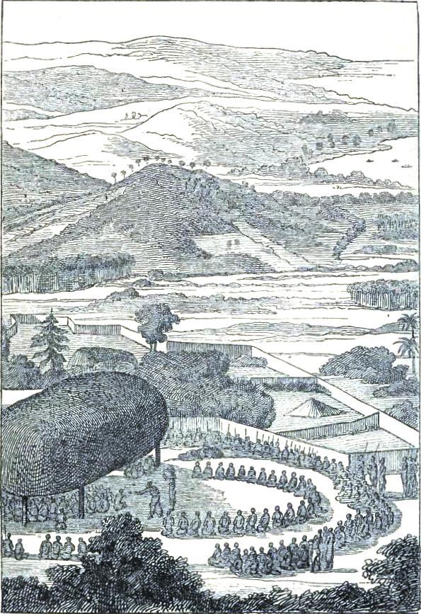 F�te in honour of D'Entrecasteaux at the Friendly Islands