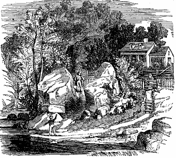 The Pursuit. Illustration.