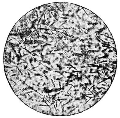 Fig. 42.

A slice of volcanic glass under the microscope,
showing well-developed microliths. (After
Cohen.)
