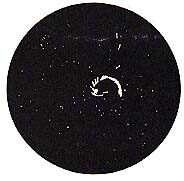 spacewar9.jpg